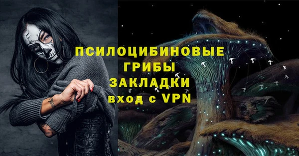 ешки Алексеевка