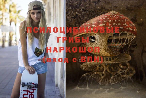 бошки Абдулино