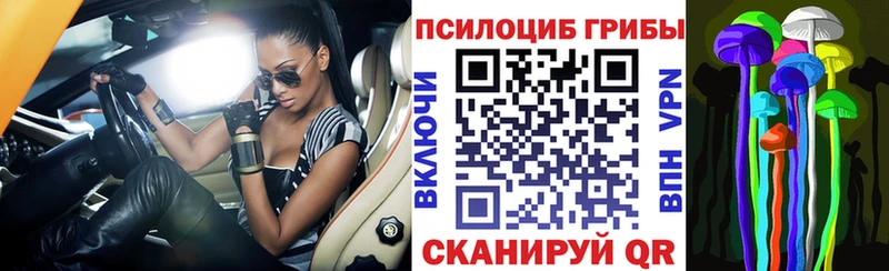 даркнет клад  MEGA зеркало  Аткарск  Псилоцибиновые грибы Psilocybe 