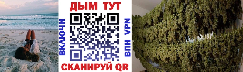 дарнет шоп Аткарск Каннабис OG Kush